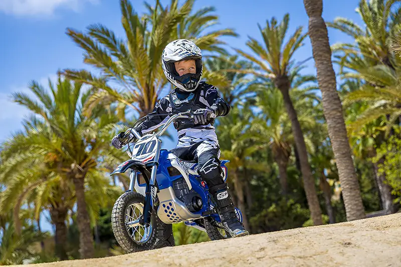 INJUSA Blue Fighter 24V INJUSA Blue Fighter 24V